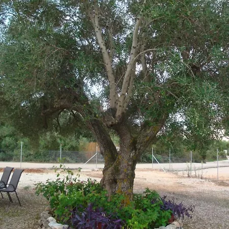 Peter's Cottage, Near Fiscardo, Kefalonia * Fiskardo